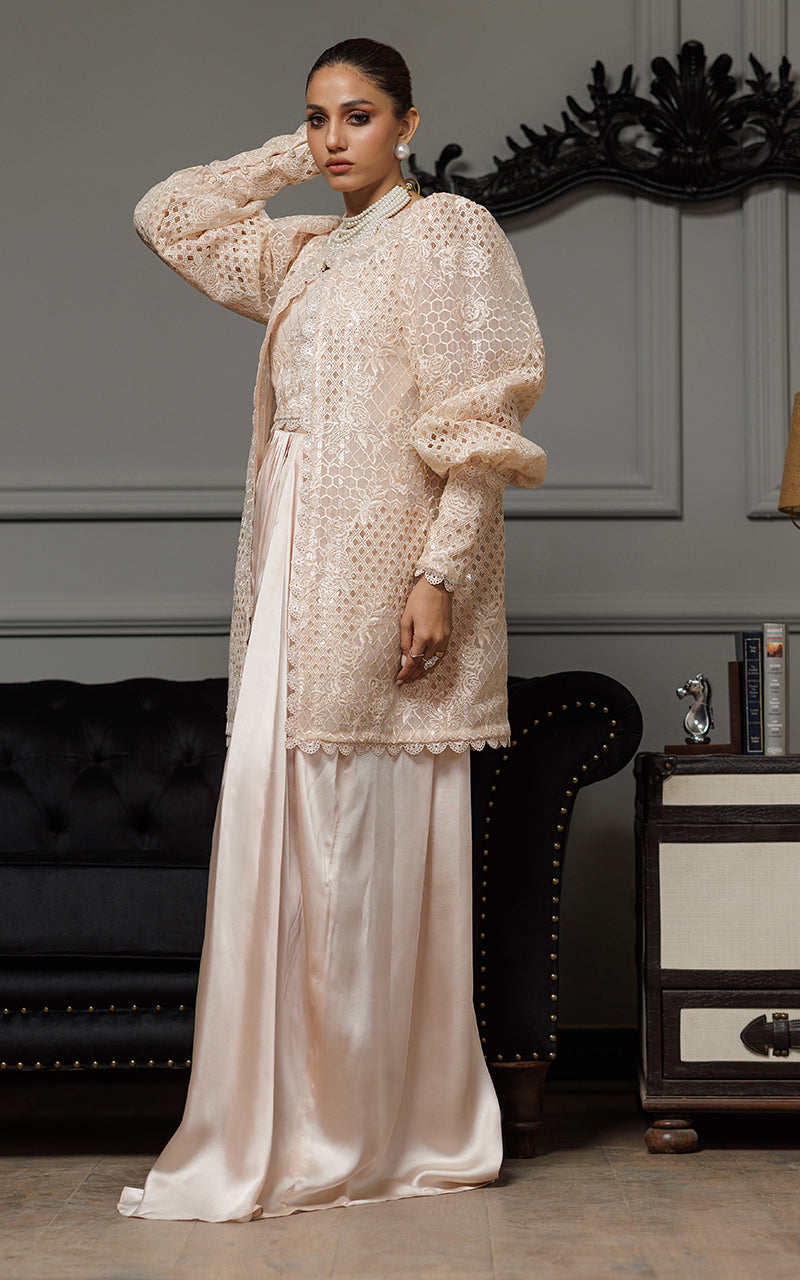 Blush Embroidered Organza & Satin Gown (2-Piece) - Image 3