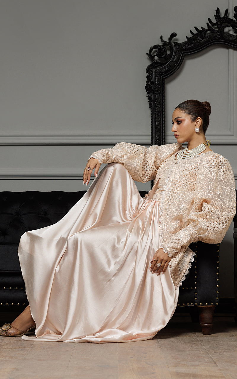 Blush Embroidered Organza & Satin Gown (2-Piece) - Image 5