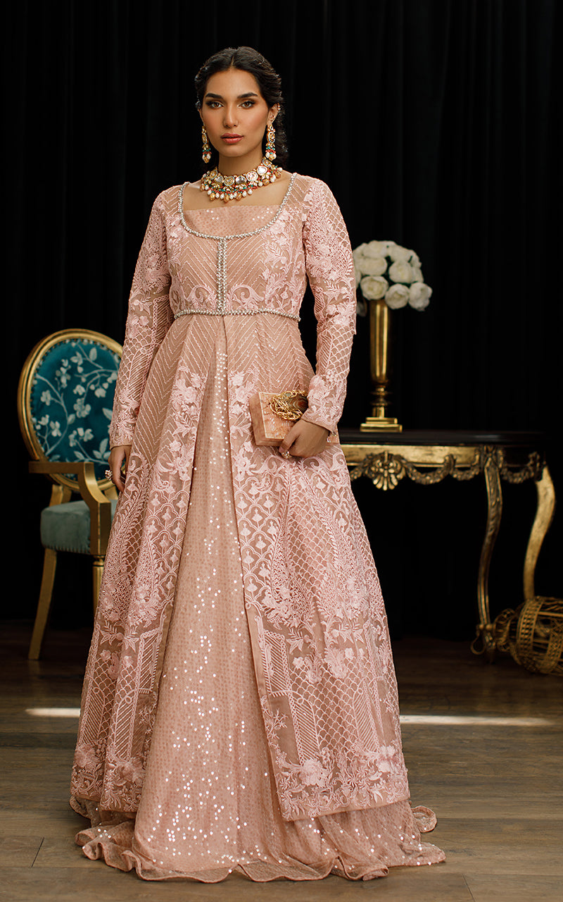 Soft Pink Embroidered Organza Gown (1-Pc) - Image 1