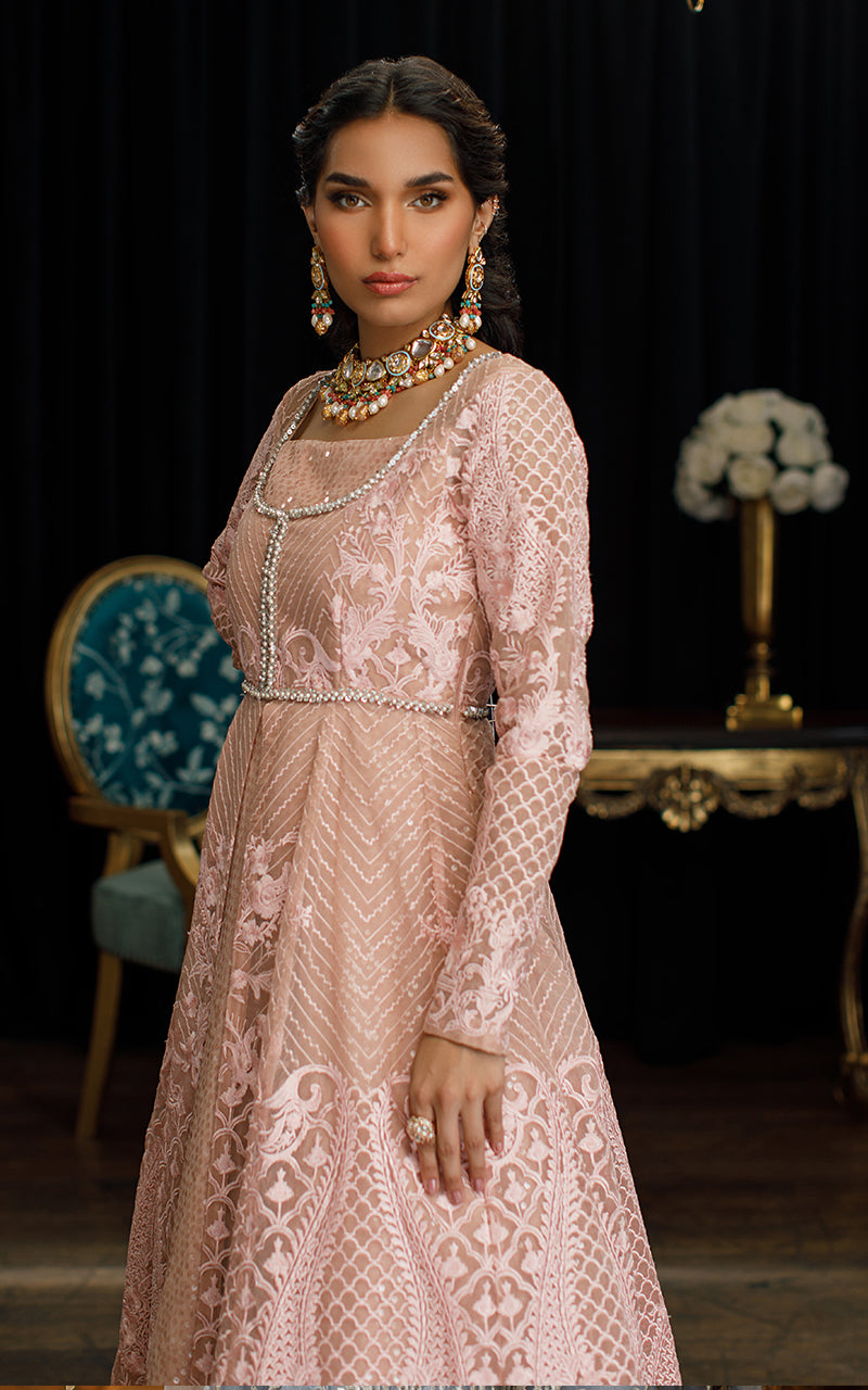 Soft Pink Embroidered Organza Gown (1-Pc) - Image 3