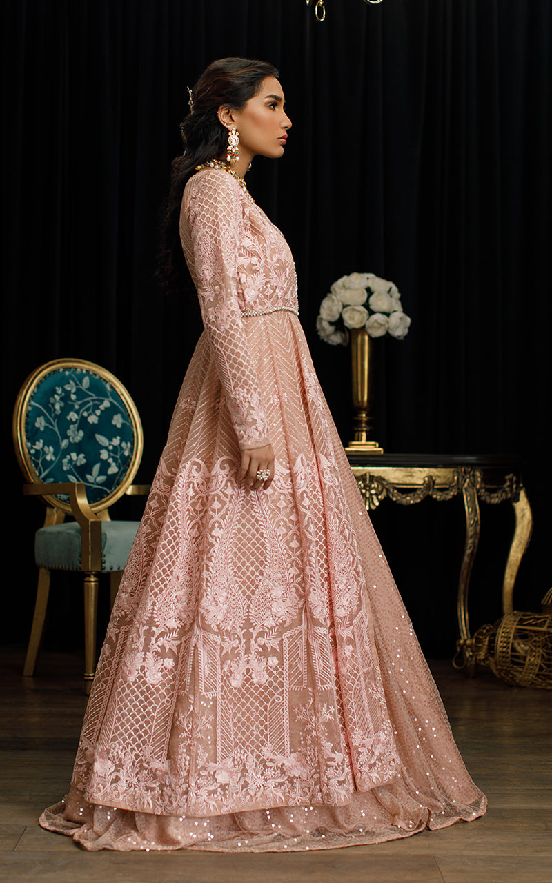 Soft Pink Embroidered Organza Gown (1-Pc) - Image 4