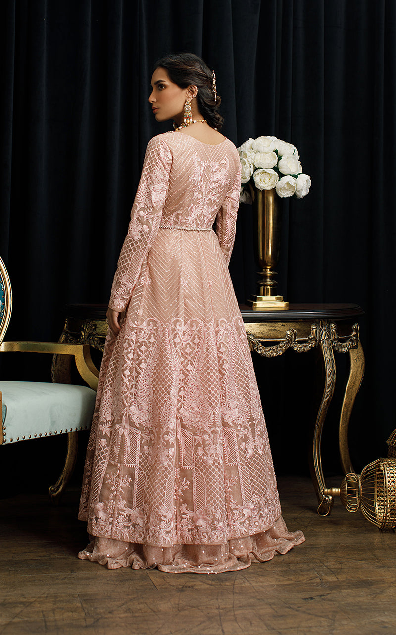 Soft Pink Embroidered Organza Gown (1-Pc) - Image 5