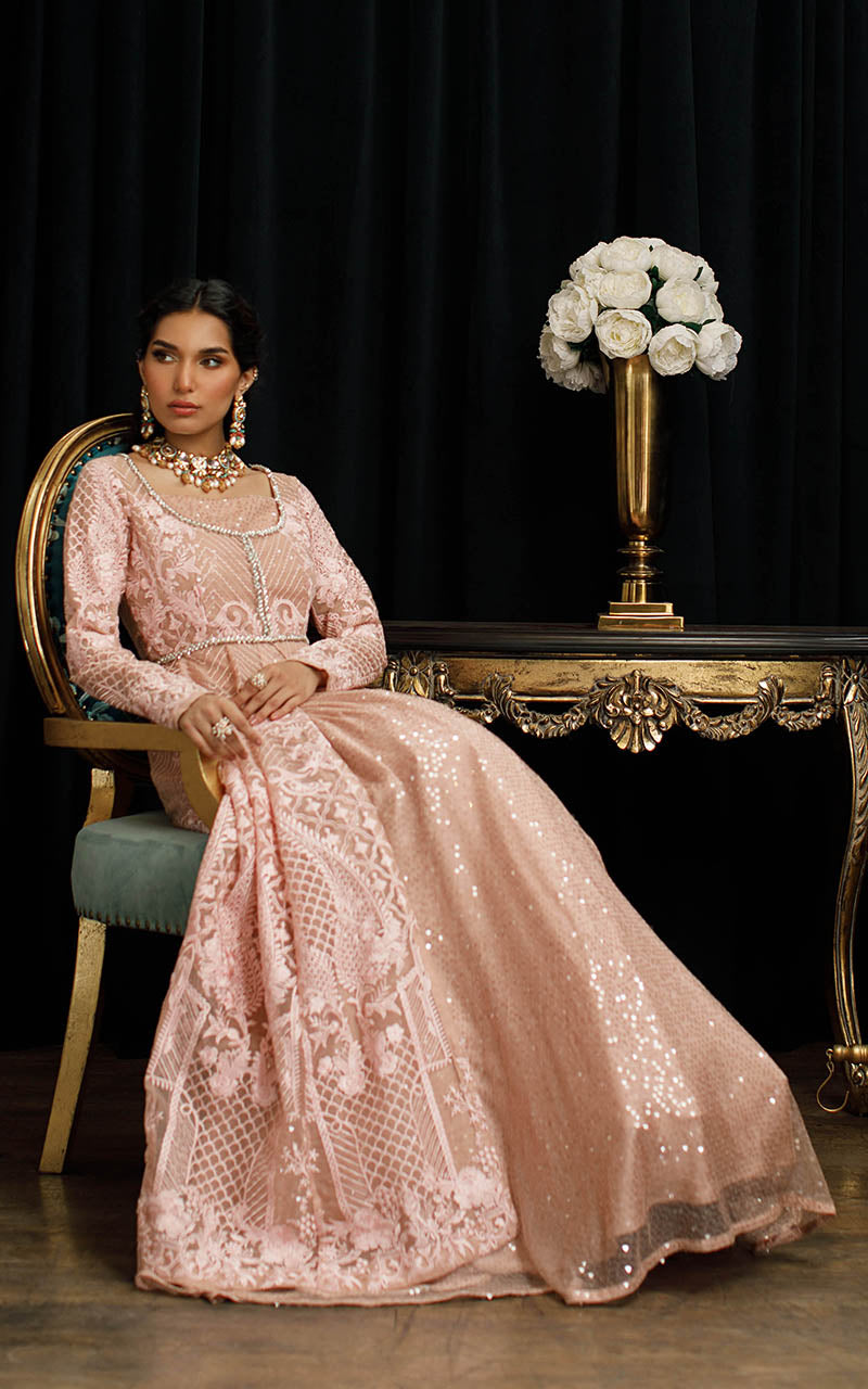 Soft Pink Embroidered Organza Gown (1-Pc) - Image 6