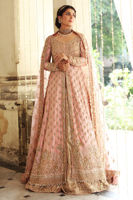 Pakistani Salmon Pink Embroidered Raw Silk Gown (3-Piece) - Image 6