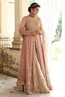 Pakistani Salmon Pink Embroidered Raw Silk Gown (3-Piece) - Image 8