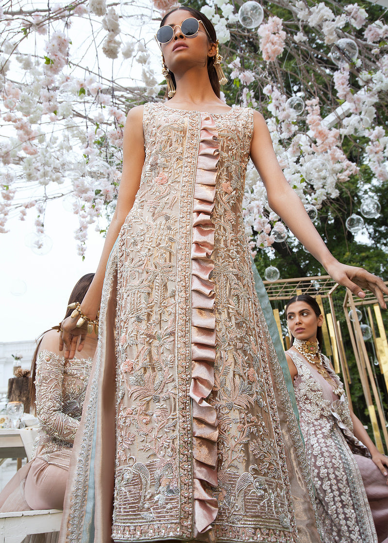 Pakistani Blush Pink Embellished Tissue Gown (2-Piece) - Image 1
