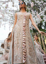 Pakistani Blush Pink Embellished Tissue Gown (2-Piece) - Image 2