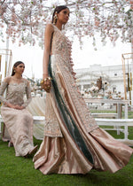 Pakistani Blush Pink Embellished Tissue Gown (2-Piece) - Image 3