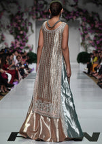 Pakistani Blush Pink Embellished Tissue Gown (2-Piece) - Image 5