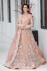 Pakistani Pastel Peach Pink Tilla Embroidered Tulle Bridal Gown (2-Piece) - Image 2
