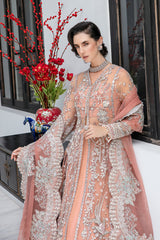 Pakistani Pastel Peach Pink Tilla Embroidered Tulle Bridal Gown (2-Piece) - Image 7