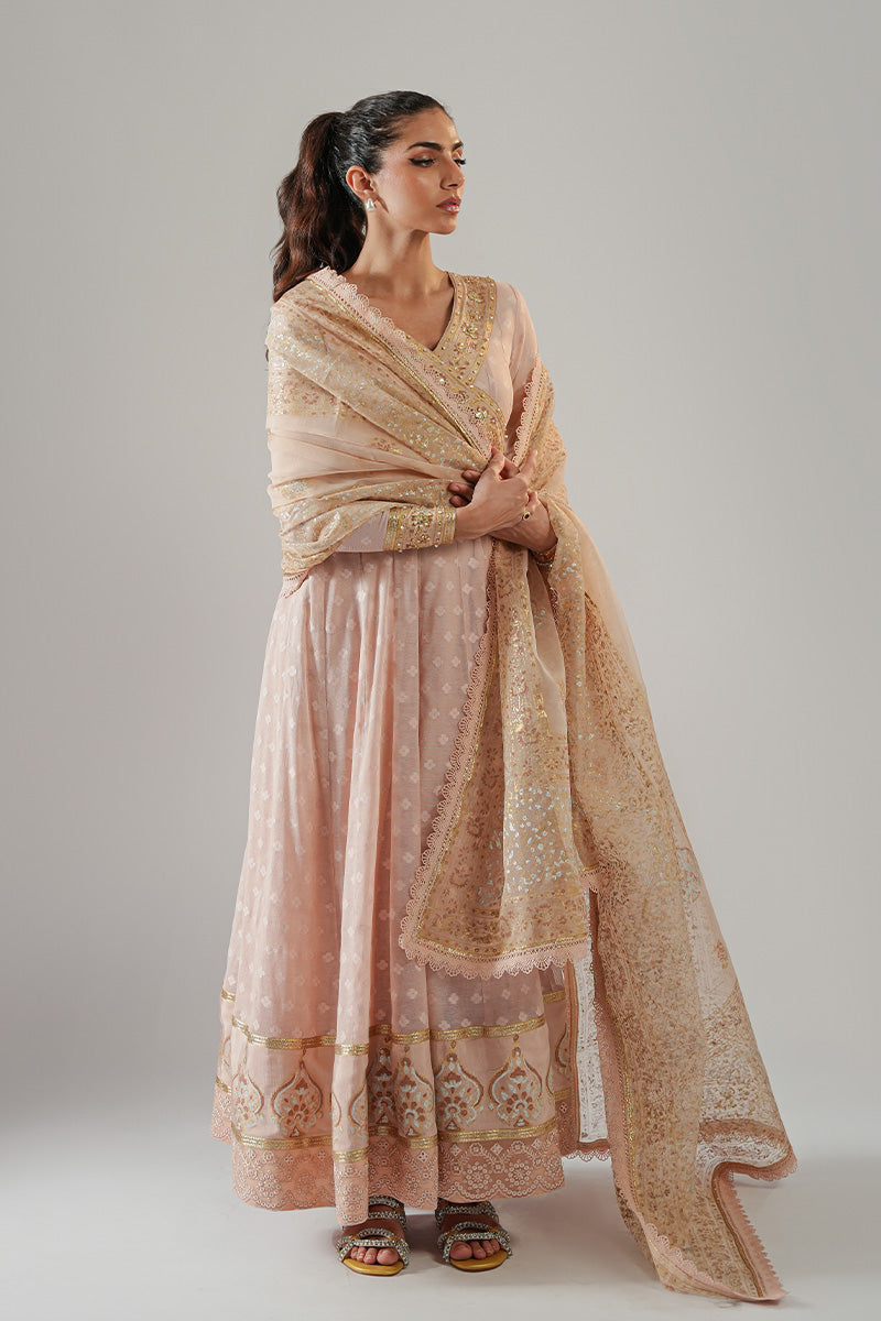 Nude Pink Blockprinted Cotton Net Kalidar (2-Piece) - Image 1
