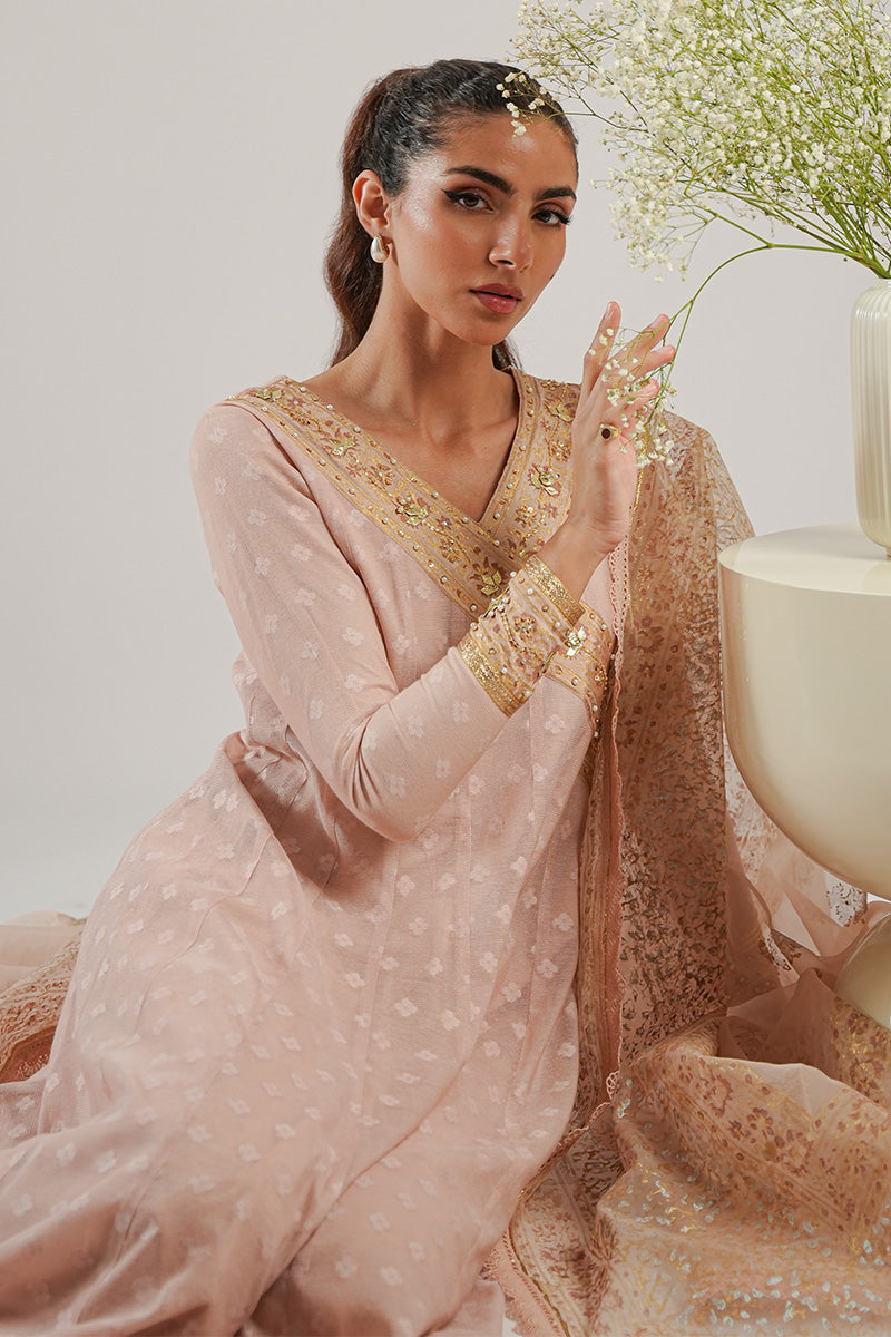 Nude Pink Blockprinted Cotton Net Kalidar (2-Piece) - Image 10