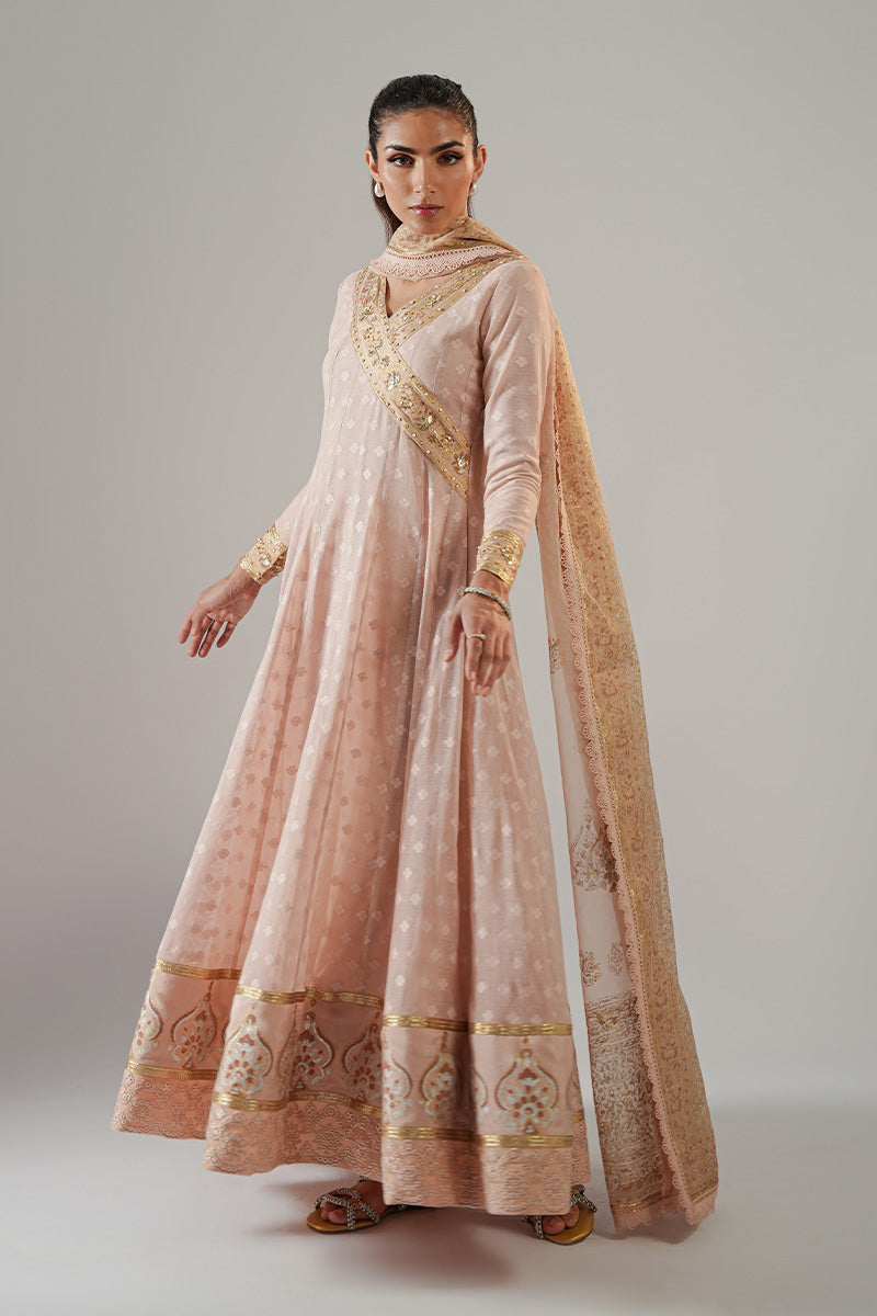 Nude Pink Blockprinted Cotton Net Kalidar (2-Piece) - Image 2