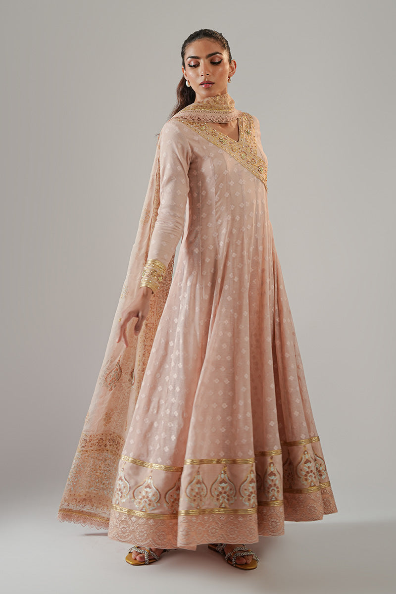 Nude Pink Blockprinted Cotton Net Kalidar (2-Piece) - Image 3
