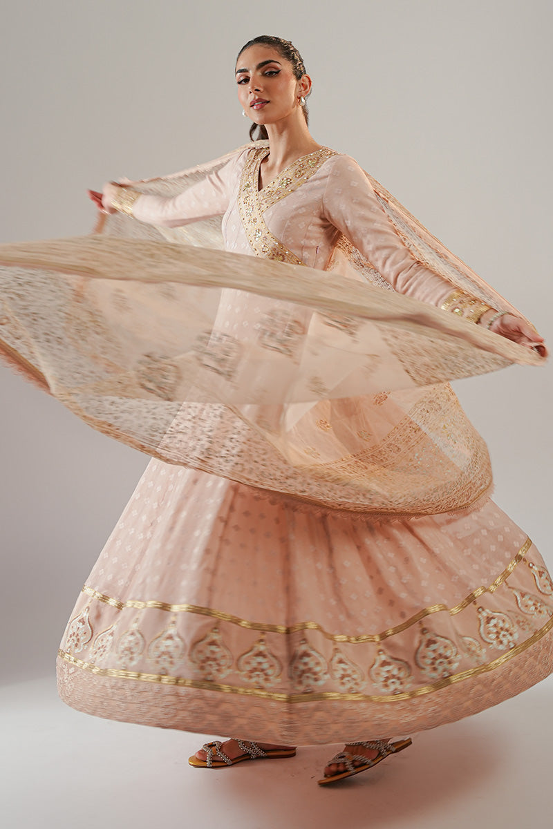 Nude Pink Blockprinted Cotton Net Kalidar (2-Piece) - Image 4