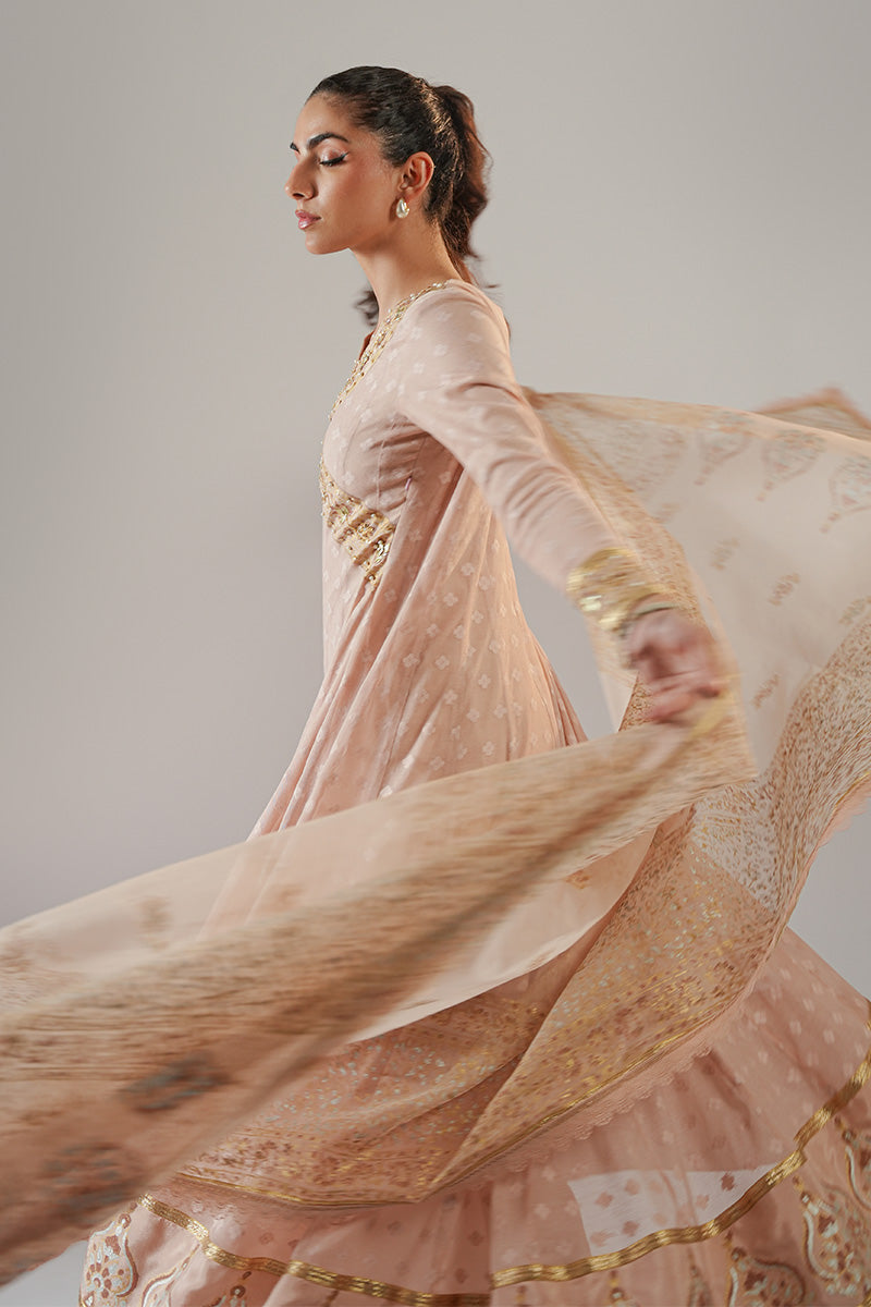 Nude Pink Blockprinted Cotton Net Kalidar (2-Piece) - Image 5