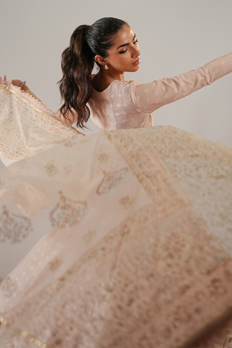 Nude Pink Blockprinted Cotton Net Kalidar (2-Piece) - Image 6