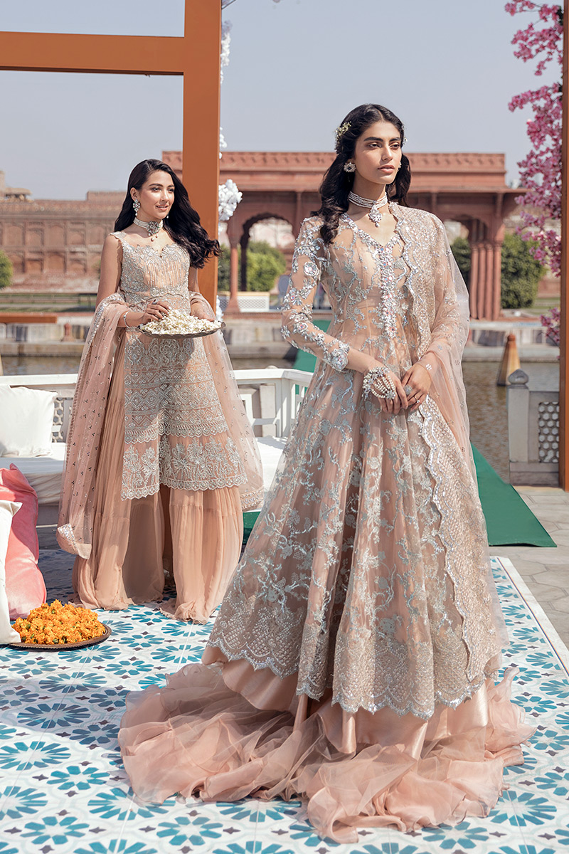 Pakistani Blush Pink Embroidered Net Kalidar Dress (3-Piece) - Image 1