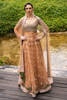 Pakistani Peach Embroidered Pure Net Kalidaar Dress (3-Piece) - Image 2