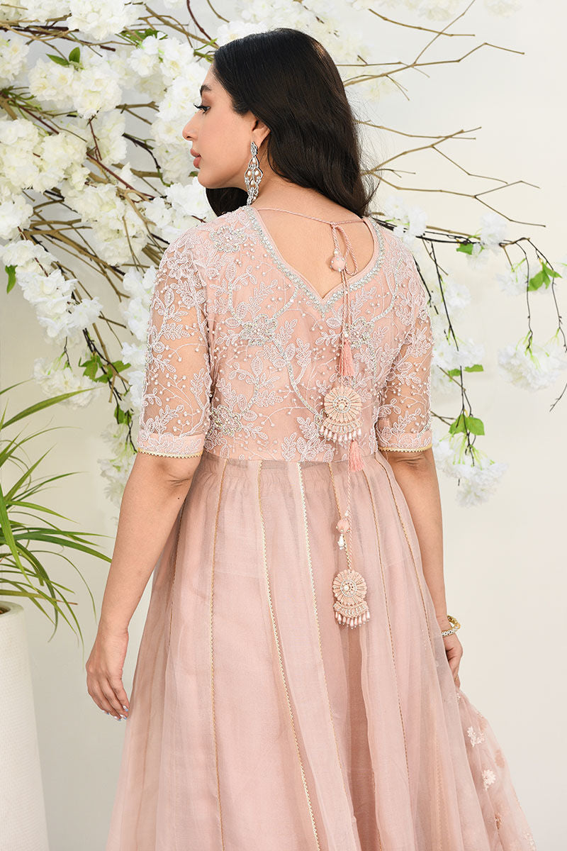 Soft Pink Embroidered Organza Kalidar Dress (3-Piece) - Image 2