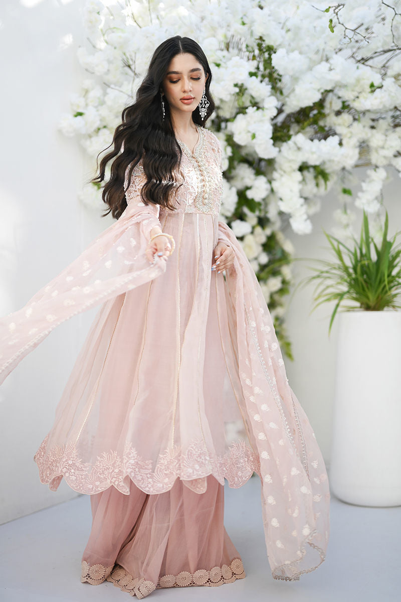 Soft Pink Embroidered Organza Kalidar Dress (3-Piece) - Image 5