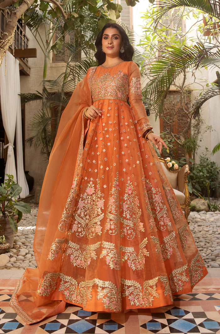 Peach Embroidered Organza Kalidar Dress (2-Piece) - Image 1