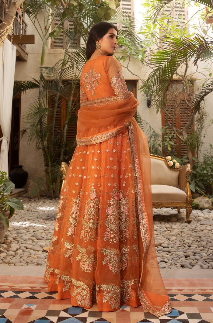 Peach Embroidered Organza Kalidar Dress (2-Piece) - Image 5