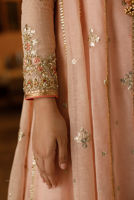 Pink Peach Zardozi Organza Kalidar Dress (3-Piece) - Image 6