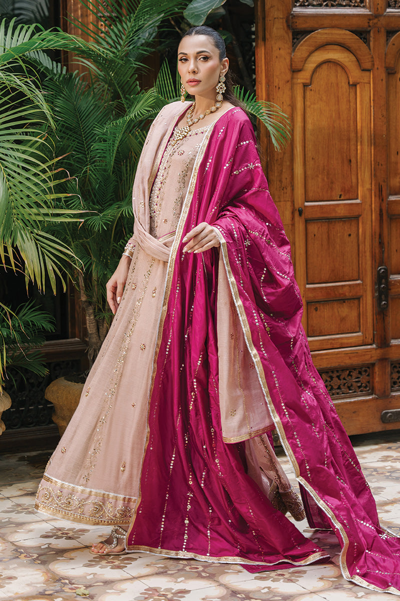 Nude Pink Hand-Embroidered Zari Net Kalidar (3-Piece) - Image 1