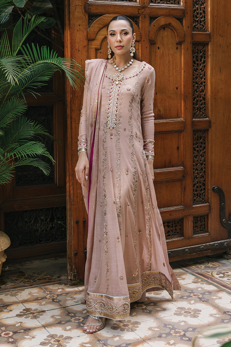 Nude Pink Hand-Embroidered Zari Net Kalidar (3-Piece) - Image 4