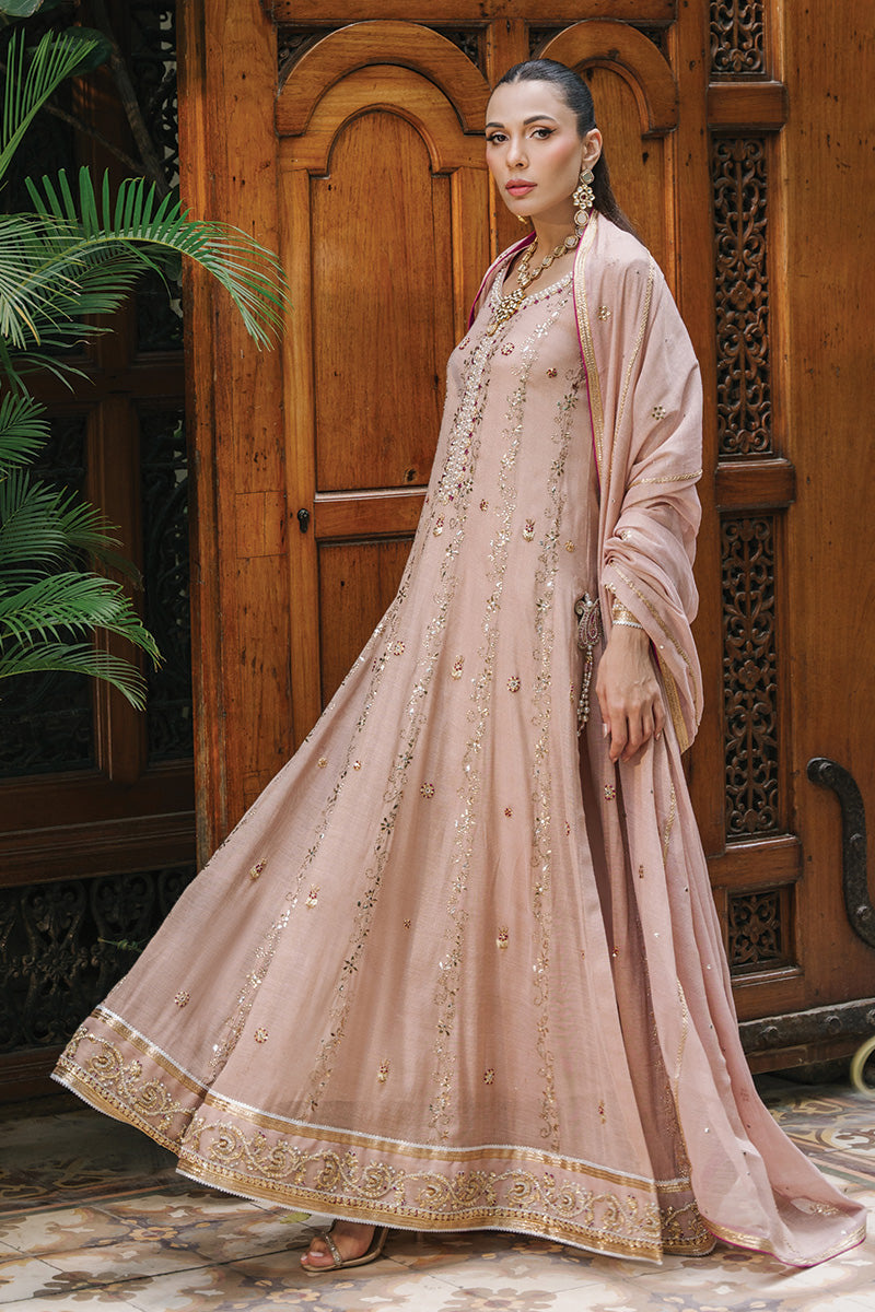 Nude Pink Hand-Embroidered Zari Net Kalidar (3-Piece) - Image 5