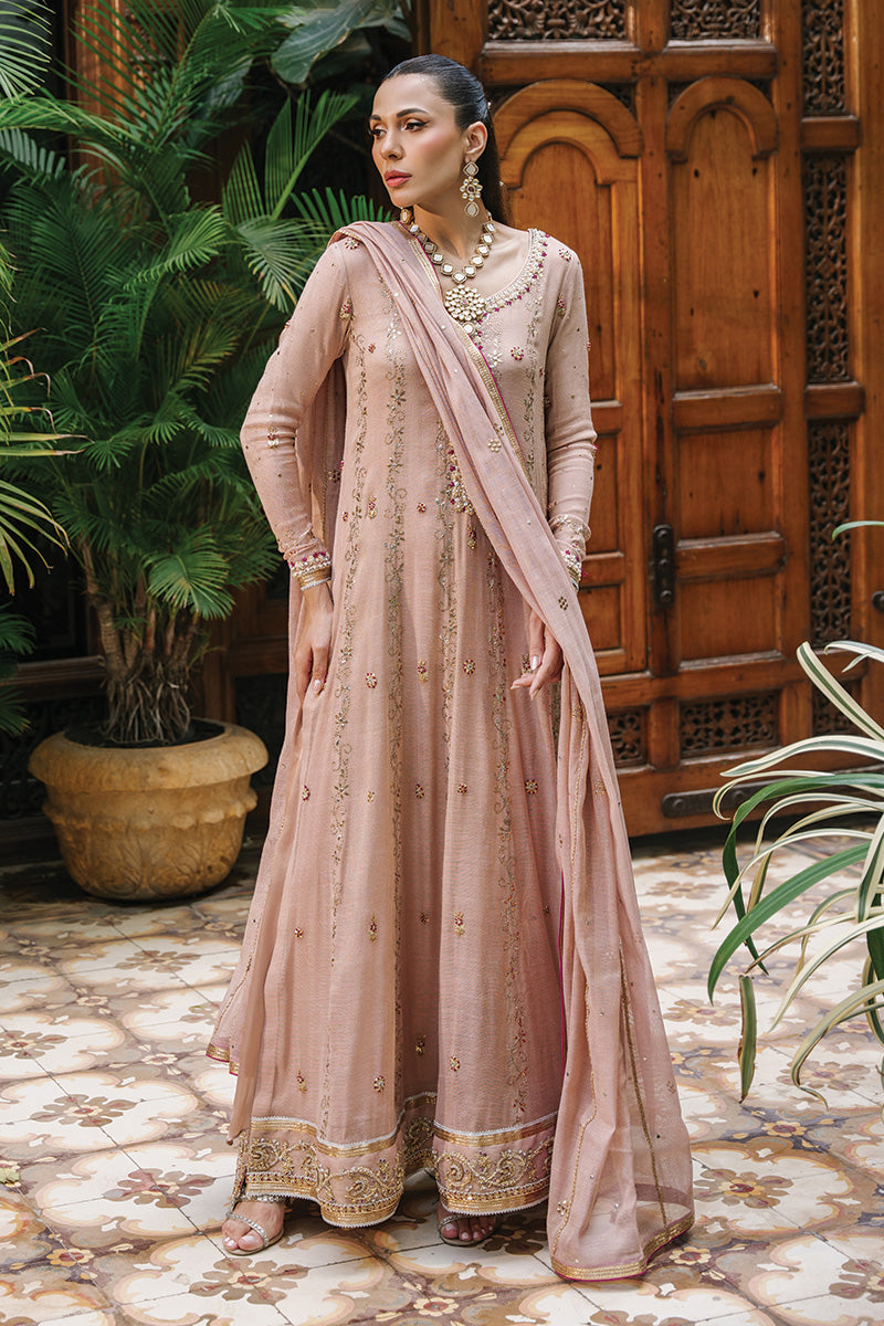 Nude Pink Hand-Embroidered Zari Net Kalidar (3-Piece) - Image 6