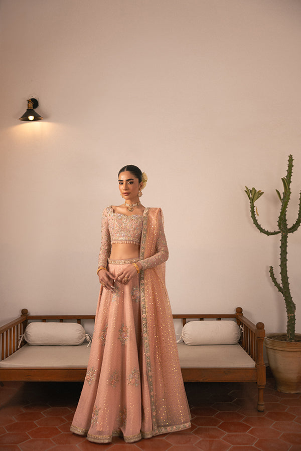Pakistani Blush Embroidered Chiffon Lehenga (3-Piece) - Image 1