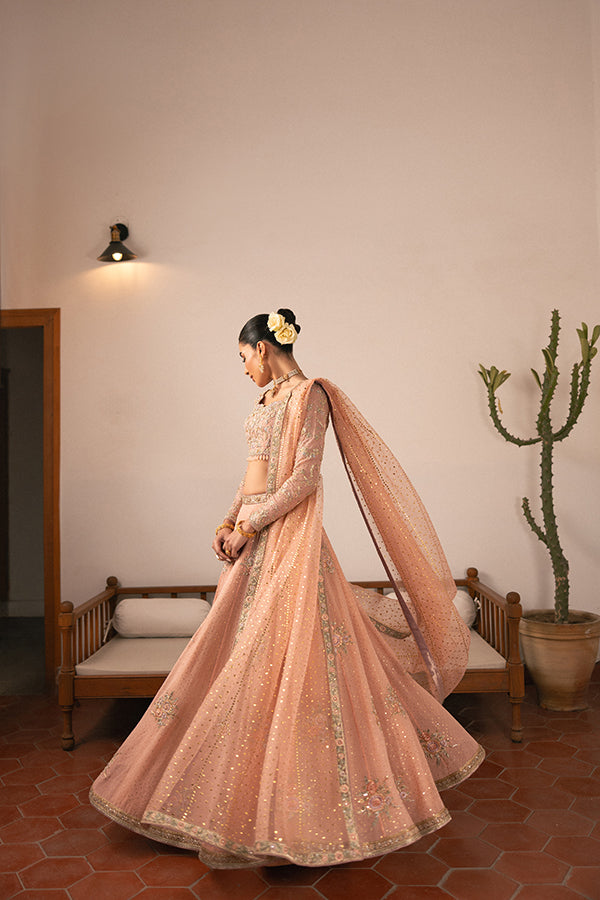 Pakistani Blush Embroidered Chiffon Lehenga (3-Piece) - Image 10