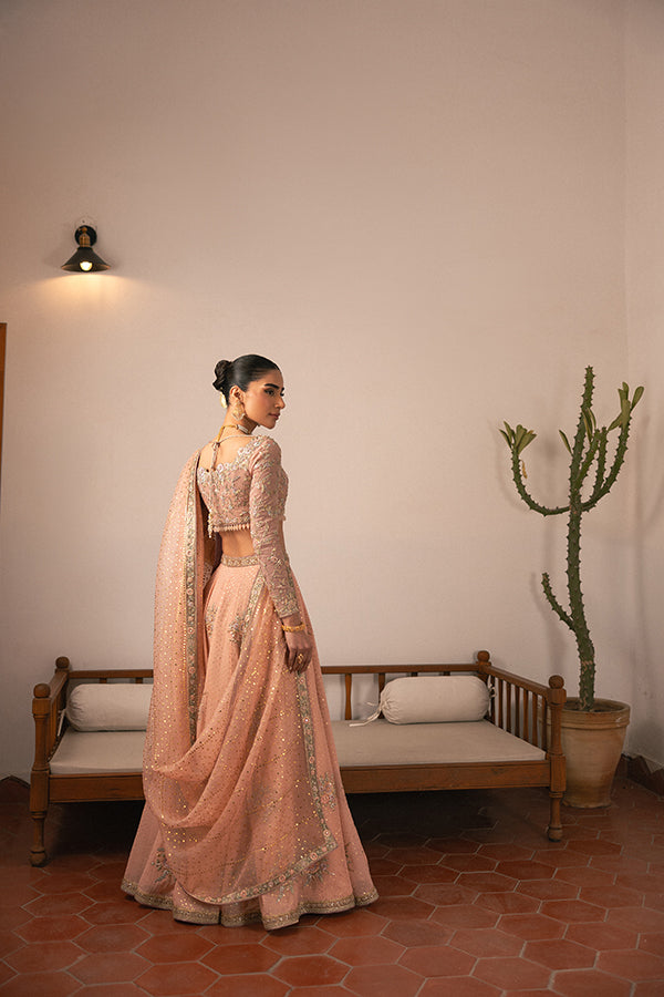 Pakistani Blush Embroidered Chiffon Lehenga (3-Piece) - Image 2