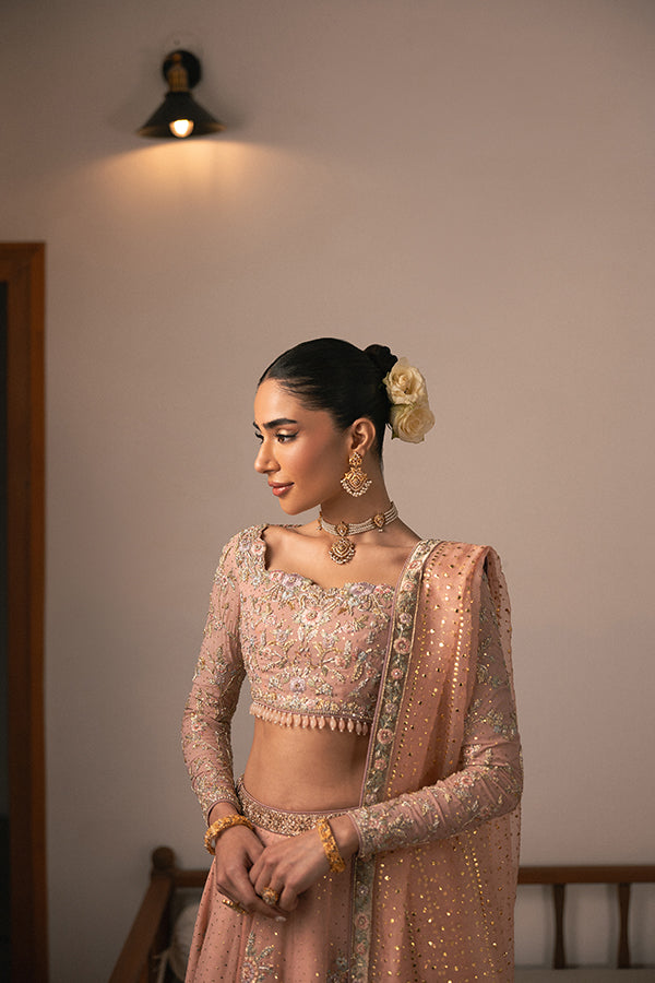 Pakistani Blush Embroidered Chiffon Lehenga (3-Piece) - Image 3