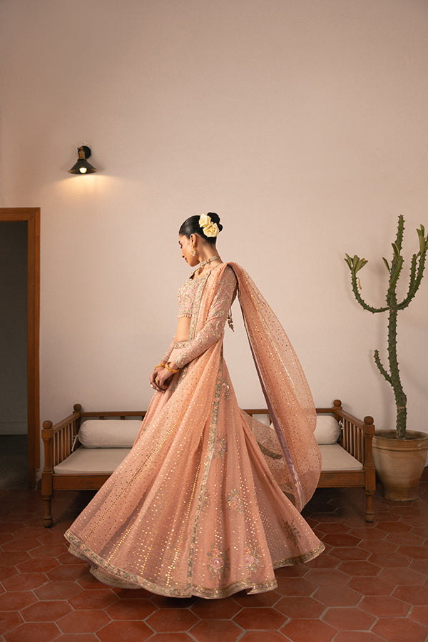 Pakistani Blush Embroidered Chiffon Lehenga (3-Piece) - Image 5