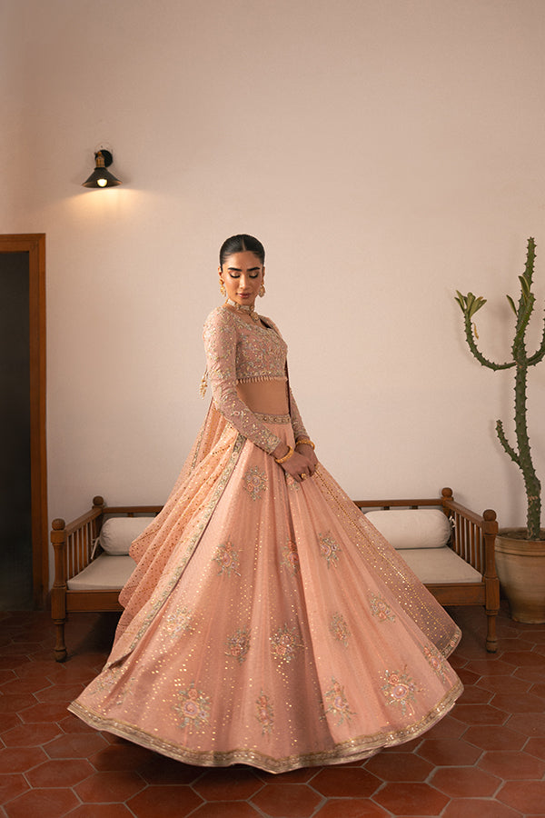 Pakistani Blush Embroidered Chiffon Lehenga (3-Piece) - Image 6