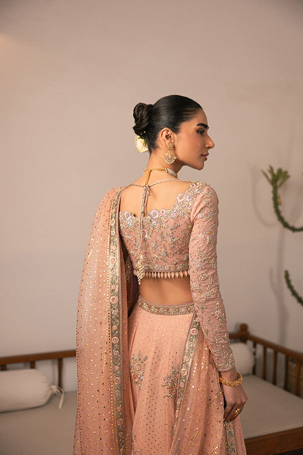 Pakistani Blush Embroidered Chiffon Lehenga (3-Piece) - Image 7