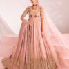 Pakistani Blush Chikankari Bridal Lehenga with Dabka & Swarovski (3-Piece) - Image 2