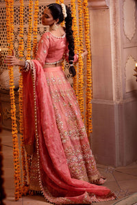 Fresh Pink Embroidered Cotton Net Lehenga Choli (3-Piece) - Image 3