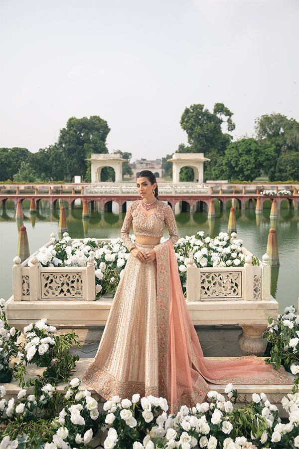 Blush Pink Embellished Net Choli with Jamawar Lehenga (3-Piece) - Image 3