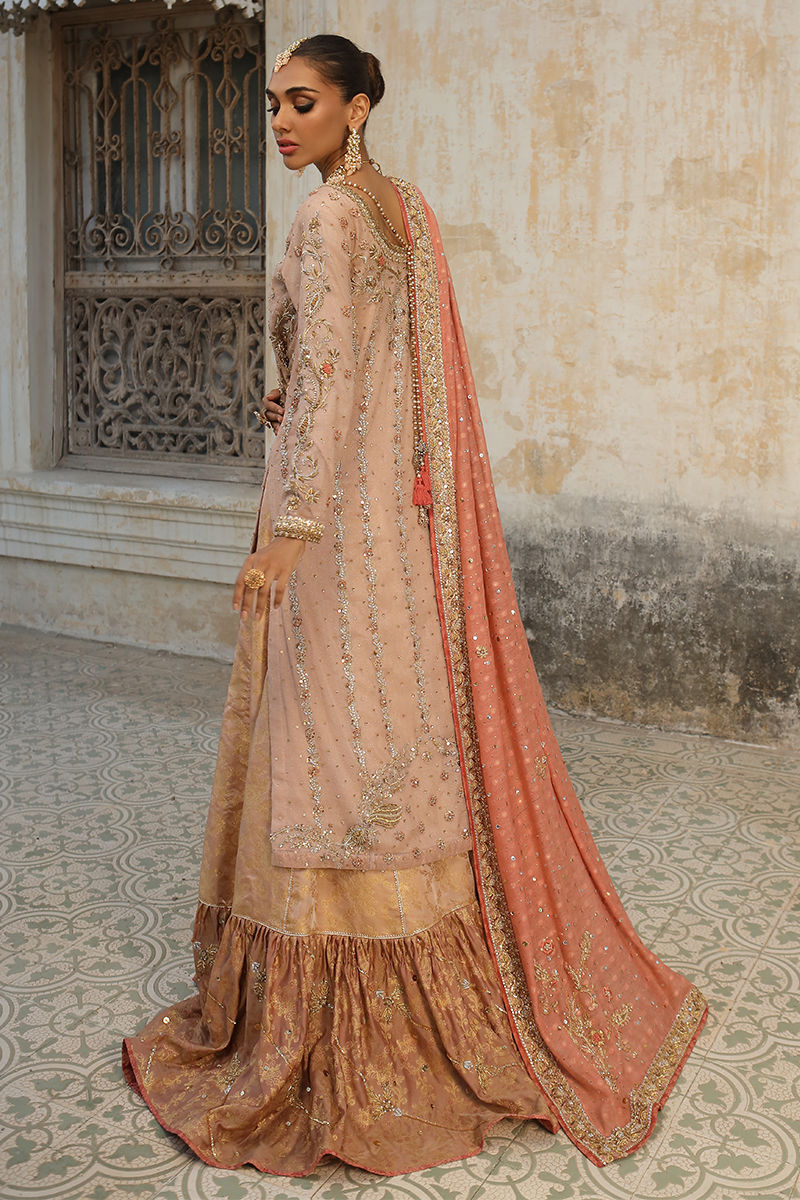 Pakistani Blush Pink Zari Net Bridal Lehenga (3-Piece) - Image 6