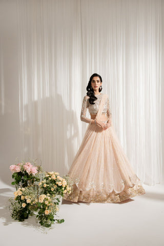 Pale Pink Hand-Embellished Jamawar & Net Lehenga (3-Piece) - Image 2