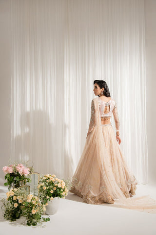 Pale Pink Hand-Embellished Jamawar & Net Lehenga (3-Piece) - Image 3