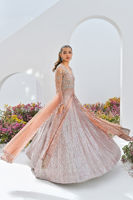 Dusty Pink Embroidered Net & Jamawar Lehenga (3-Piece) - Image 5