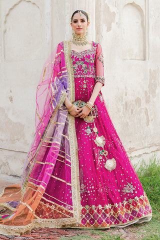 Pakistani Magenta Embroidered Net & Jamawar Pishwas (3-Piece) - Image 2