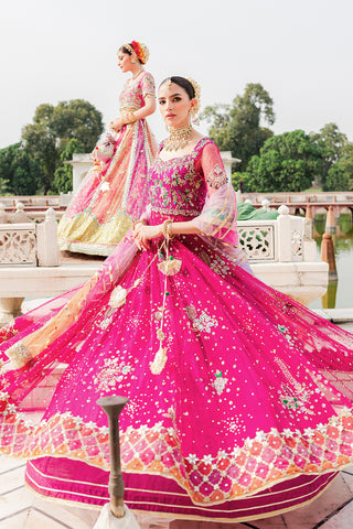 Pakistani Magenta Embroidered Net & Jamawar Pishwas (3-Piece) - Image 5