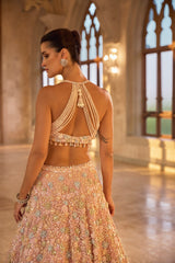 Indian Blush Pastel 3D Floral Net Lehenga Set (3-Piece) - Image 4